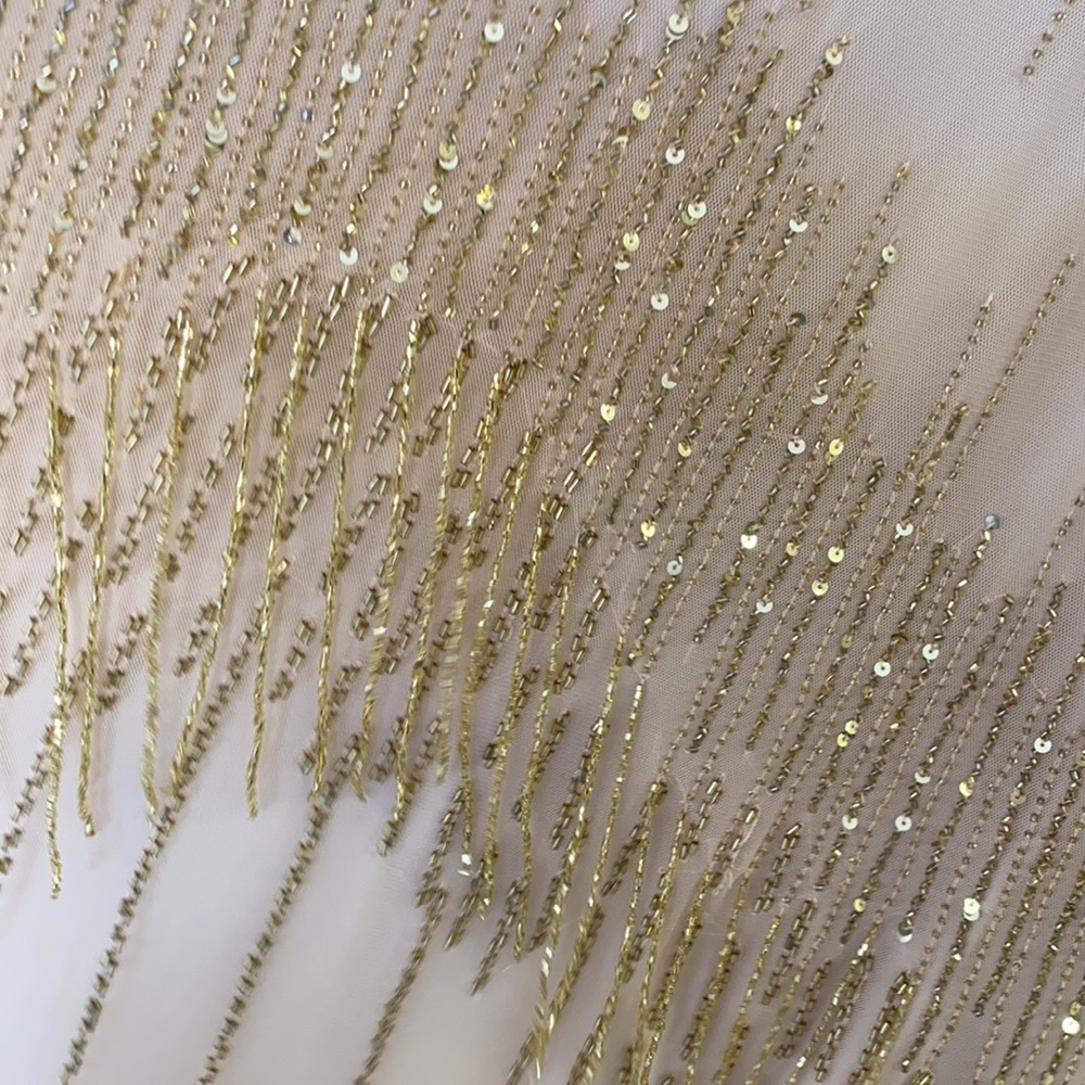 Adrianna papell Champagne/gold fully beaded sheer neckline and fringes gown - Picture 10 of 11